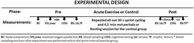 Acute Sprint Interval Exercise Increases Both Cognitive Functions and Peripheral Neurotrophic Factors in Humans: The Possible Involvement of Lactate